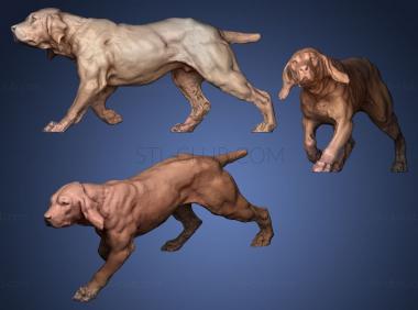 3D мадэль Прогулка собаки (STL)
